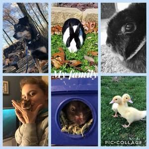 Meet your Posher, Nadalie